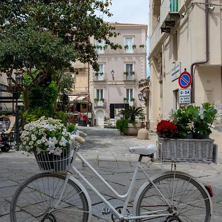 Alojamento de Acomodação e Pequeno-almoço La Divina - Free Parking - Tropea